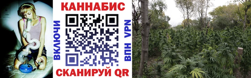 Бошки Шишки OG Kush  hydra ТОР  Оханск 